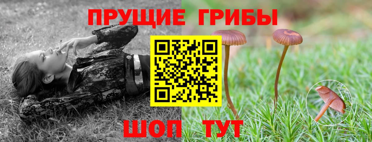 Новошахтинск  Псилоцибиновые грибы мухоморы  Вход с VPN 
